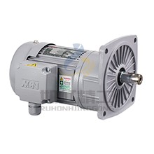 立式減速電機(jī)